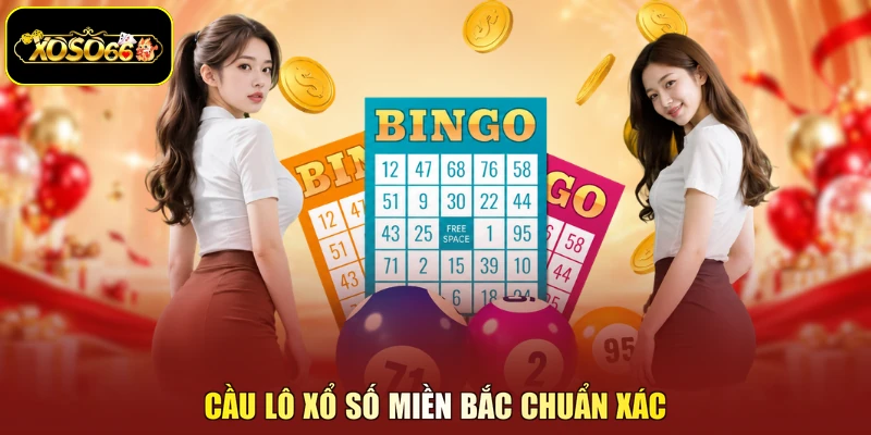 Cầu lô xổ số miền bắc chuẩn xác