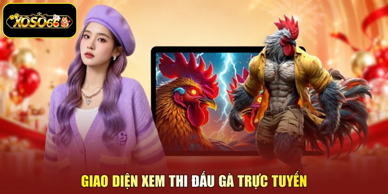 Giao diện xem thi đấu gà trực tuyến