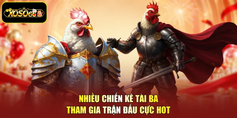 Nhiều chiến kê tài ba tham gia trận đấu cực hot